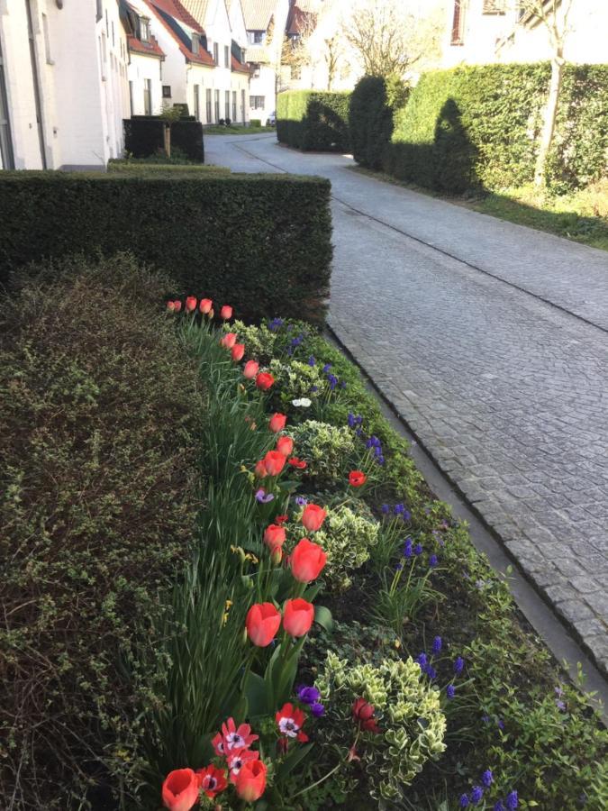 بروج B&B Het Colettientje المظهر الخارجي الصورة