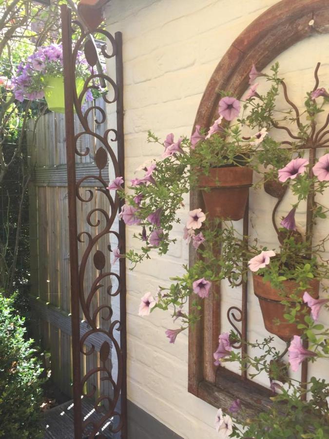 بروج B&B Het Colettientje المظهر الخارجي الصورة